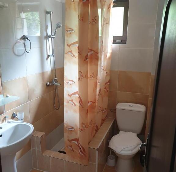 Pensiunea Passiflora