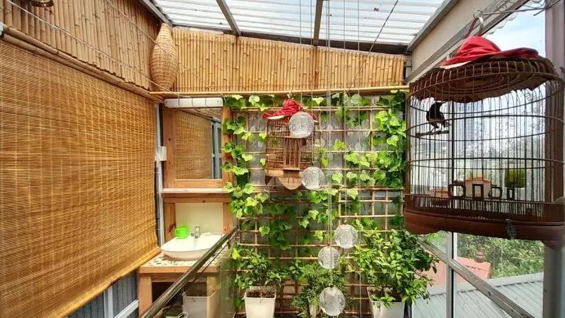 هاستل Green Homestay