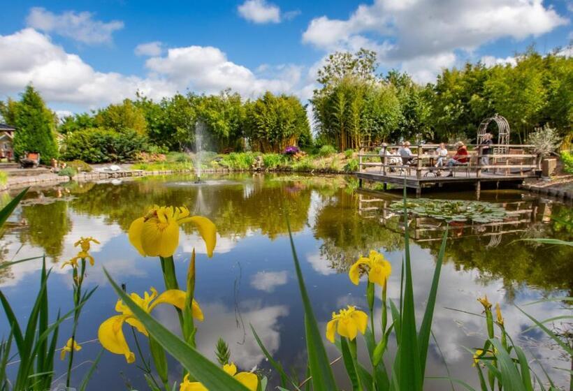 Bed and Breakfast Romala's Home