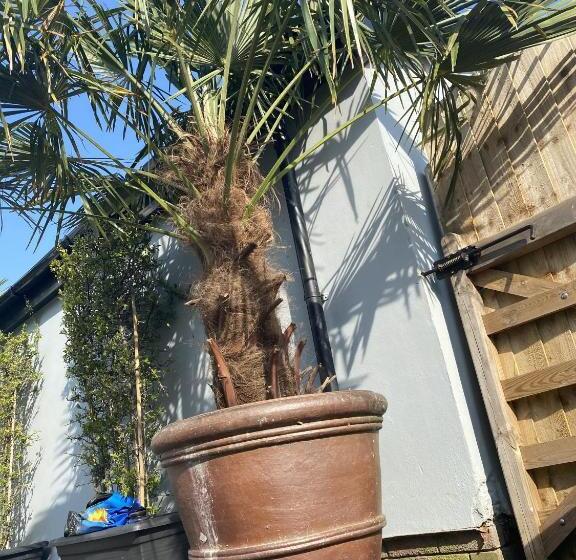 Bed and Breakfast Rooms At The Usk