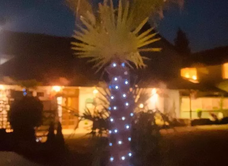 Aamiaismajoitus (B&B) Rooms At The Usk