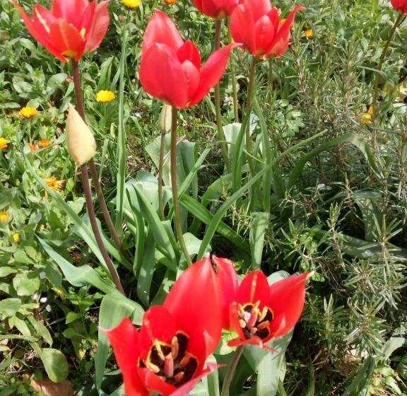 酒店 Agriturismo Vallonga