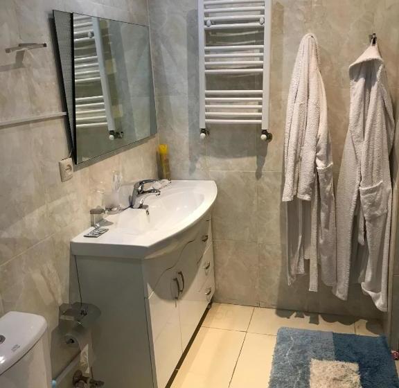 هتل Armenia Vansevan