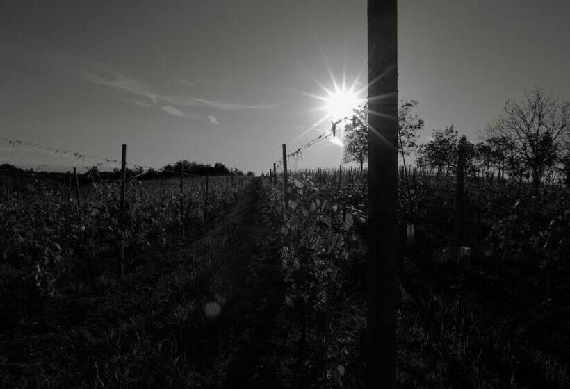 ホテル Crotin 1897