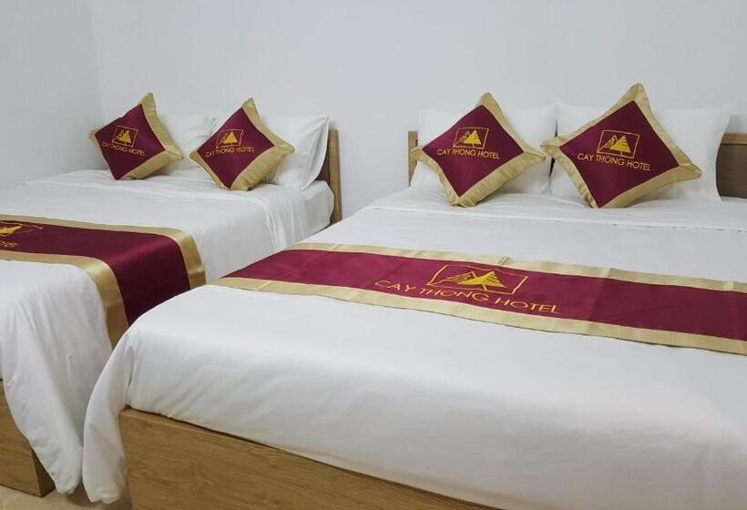 هتل Khách Sạn Cây Thông