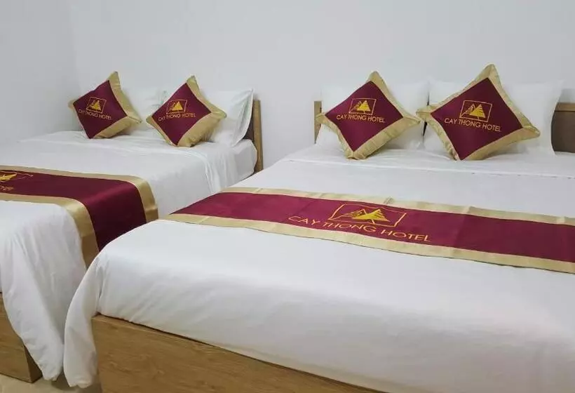 هتل Khách Sạn Cây Thông