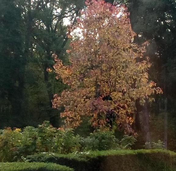 酒店 Le Rond Gardien