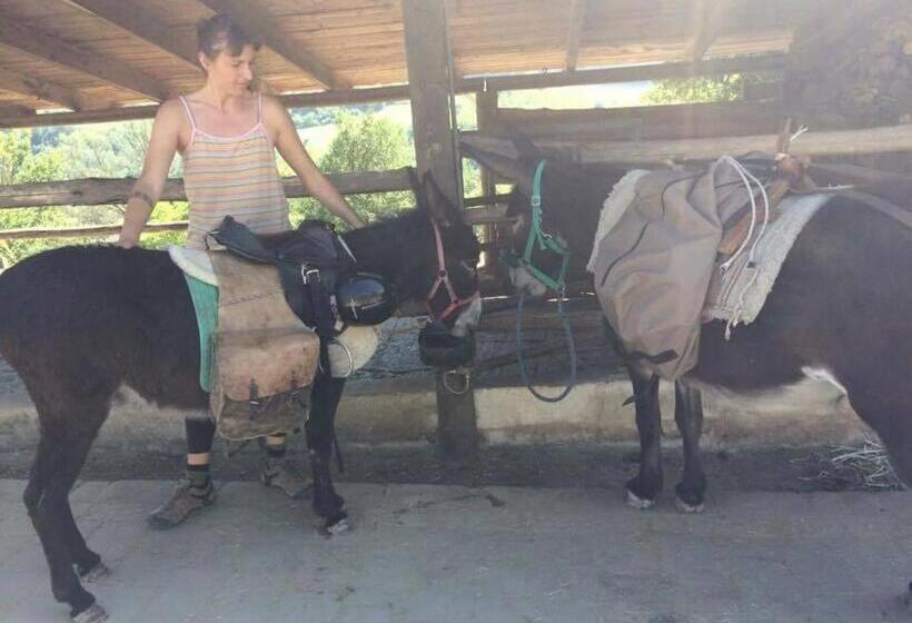 ホテル Valli Unite