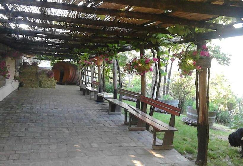 ホテル Valli Unite