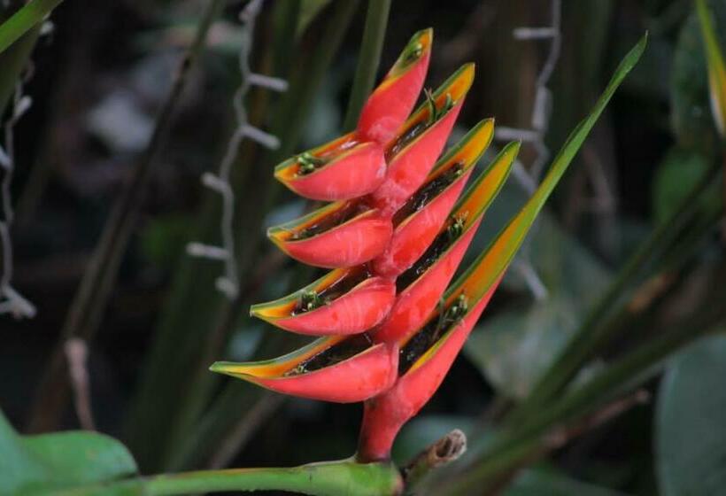 Panzió Hostal Casa Del Río