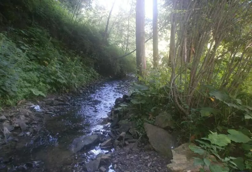 Majatalo Pid Skeleyu