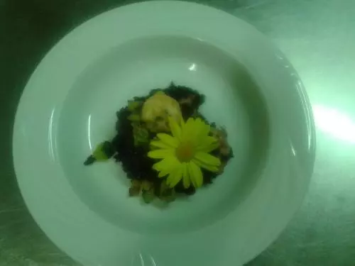 ペンション Trattoria Bar Pace