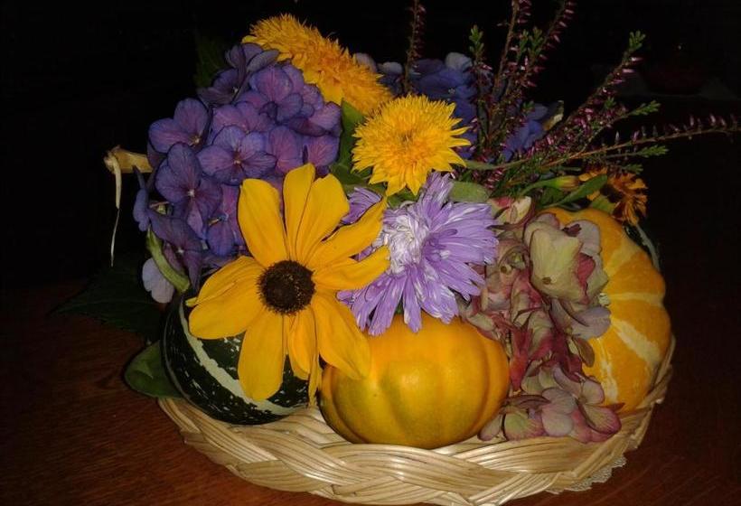 ペンション Trattoria Bar Pace