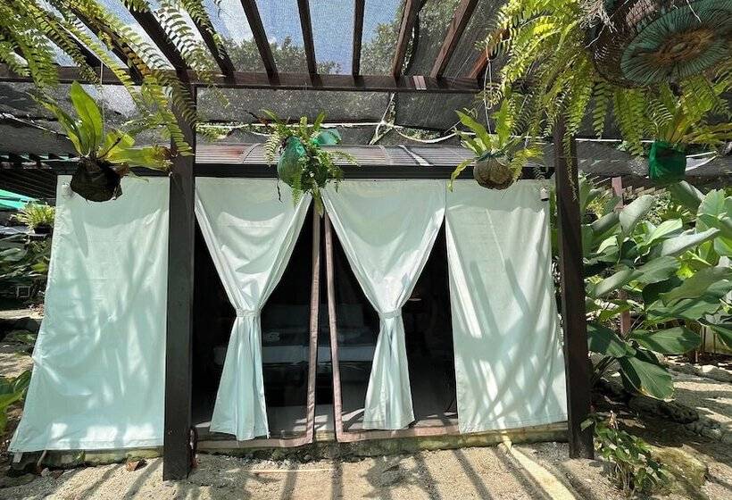 Kurort  Playa La Caleta Bataan