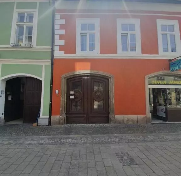 ユースホステル Minidorms In Heart Of City Center