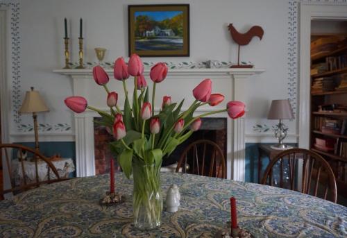 Hostel The Chipman Inn