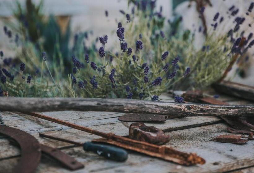 민박 Paradiso Villa