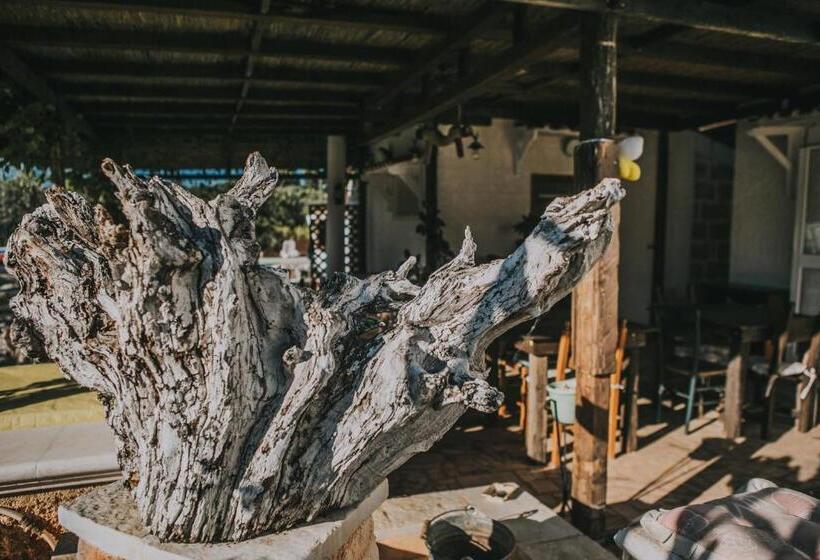 민박 Paradiso Villa