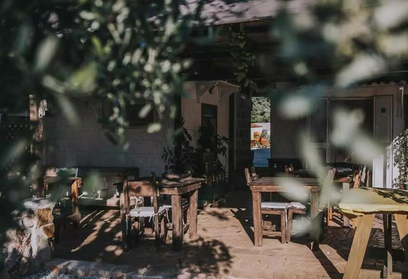 Aamiaismajoitus (B&B) Paradiso Villa