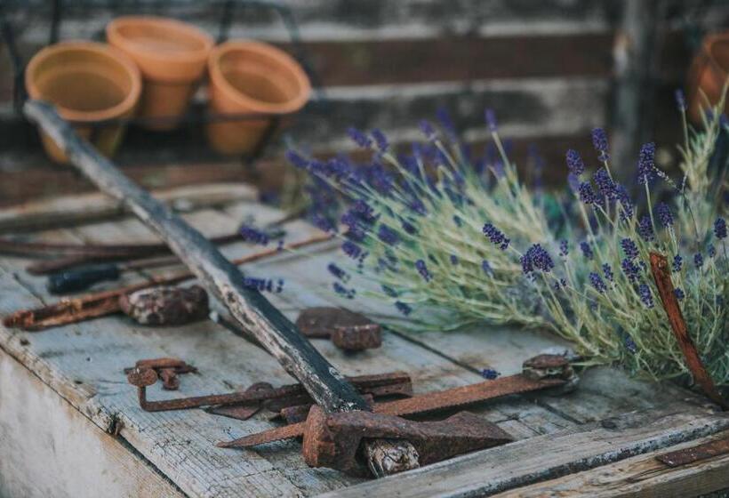 민박 Paradiso Villa