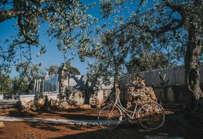 Aamiaismajoitus (B&B) Paradiso Villa