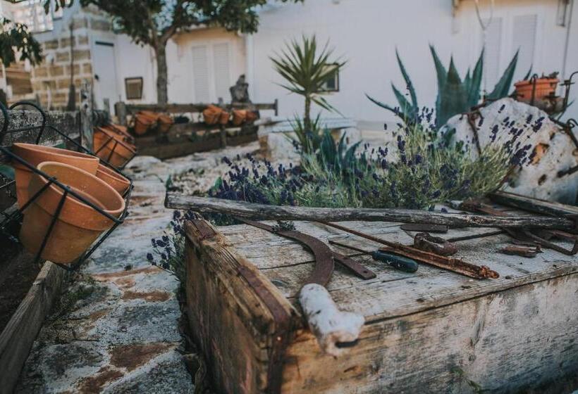 민박 Paradiso Villa