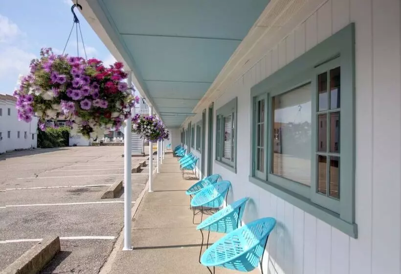 Dolphyn Motel