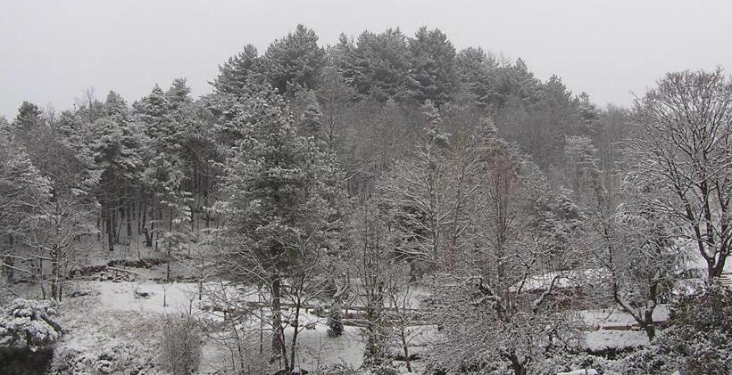 ホテル Albergo Villa Margherita