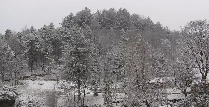Hotelli Albergo Villa Margherita
