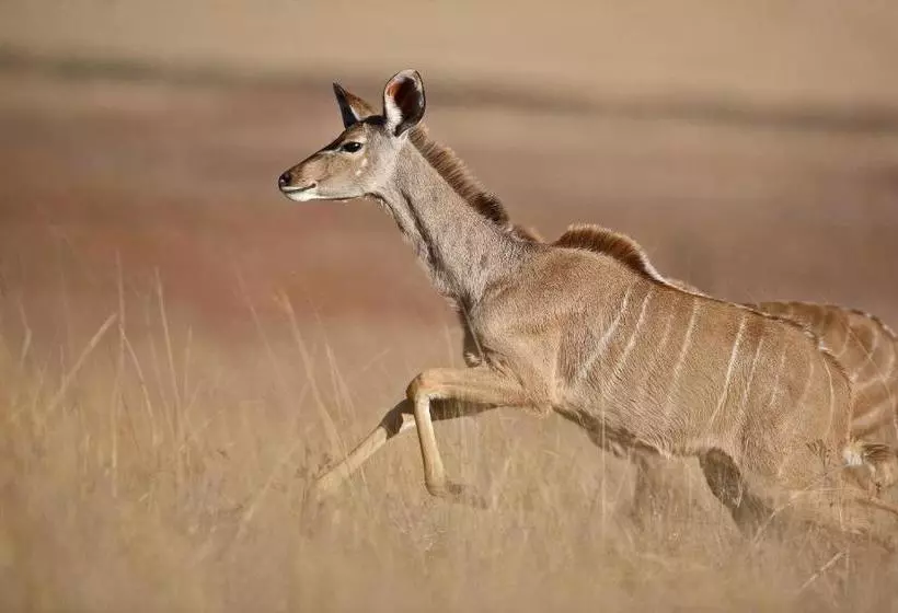 Hotelli Ezemvelo Nature Reserve