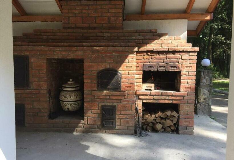 Отель Lisova Perlina