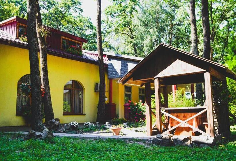 Отель Lisova Perlina