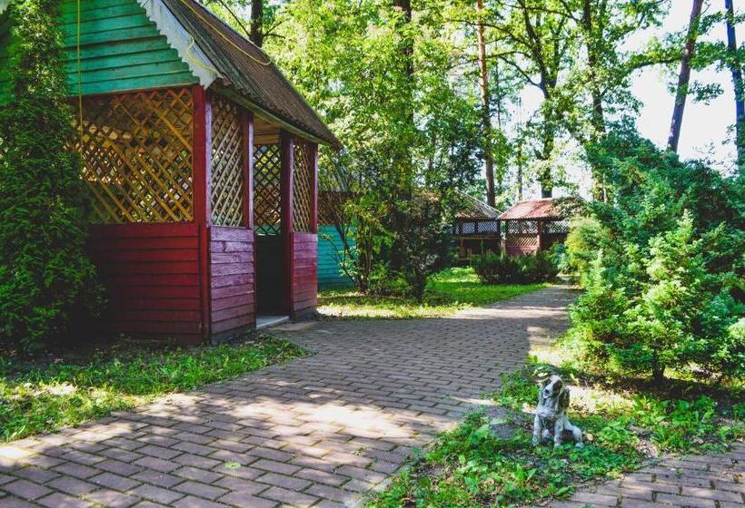 Отель Lisova Perlina