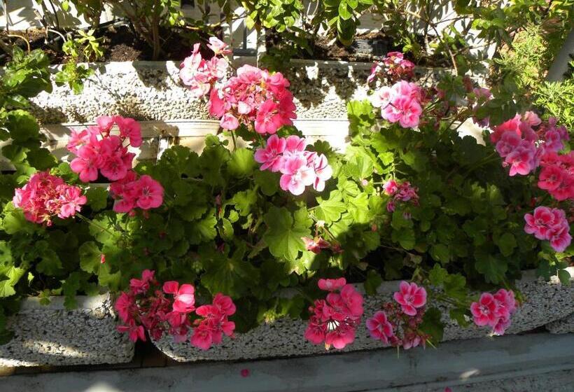 ホテル Pensione Andrea