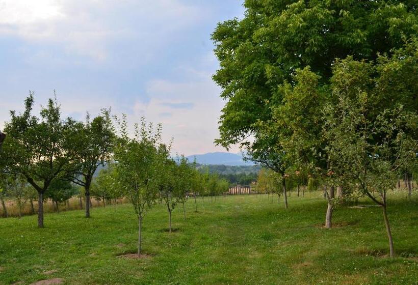 בית מלון כפרי Pensiunea Koruna