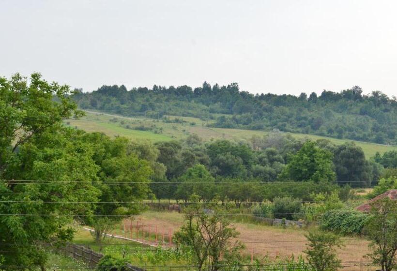 בית מלון כפרי Pensiunea Koruna