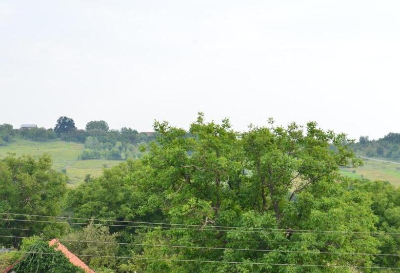 בית מלון כפרי Pensiunea Koruna