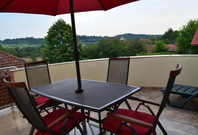 בית מלון כפרי Pensiunea Koruna