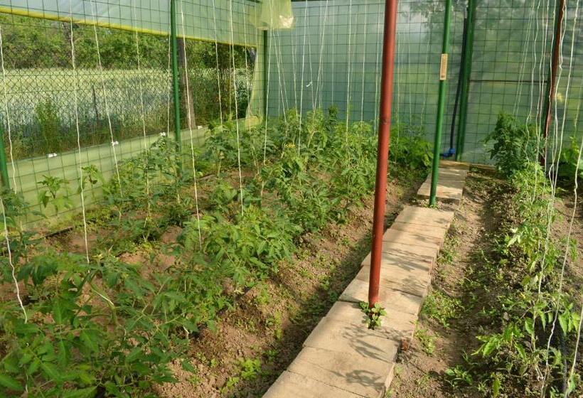 בית מלון כפרי Pensiunea Koruna