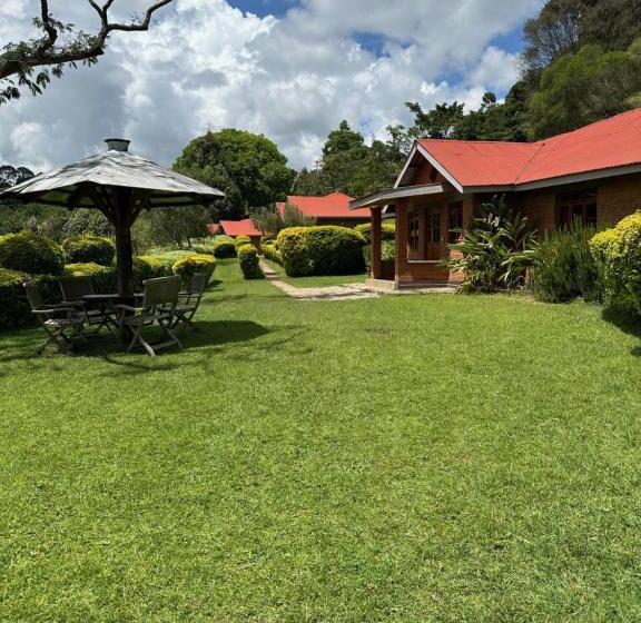 هتل Swiss Farm Cottage