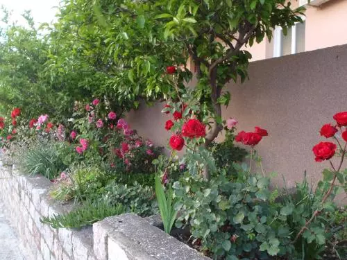 پانسیون Apartments Đurašević