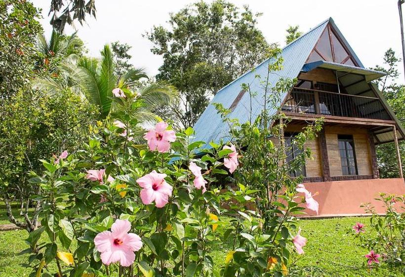 بنسيون Hostal Finca Ely