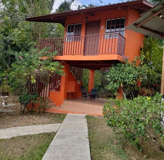 بنسيون Hostal Finca Ely