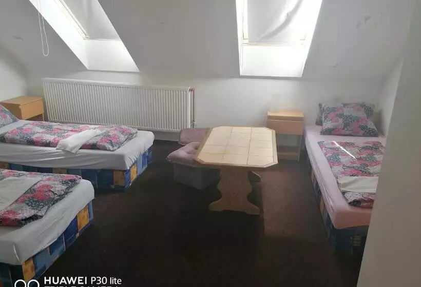 Majatalo Penzion U Hladů