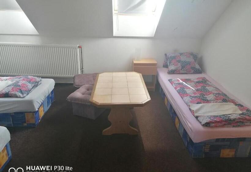 פנסיון Penzion U Hladů