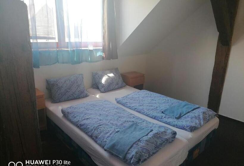 פנסיון Penzion U Hladů