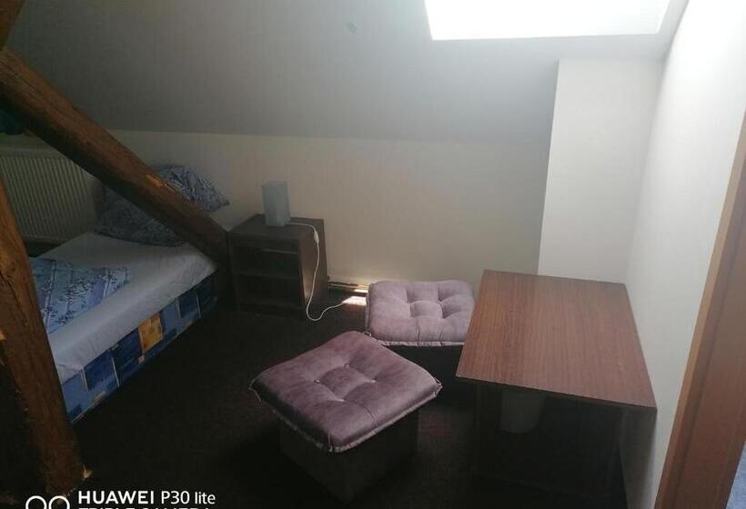 פנסיון Penzion U Hladů