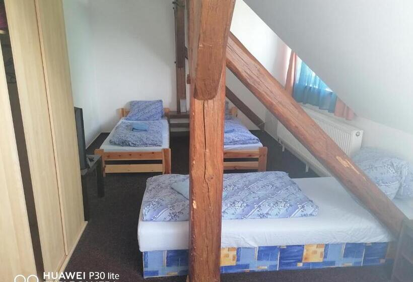 פנסיון Penzion U Hladů