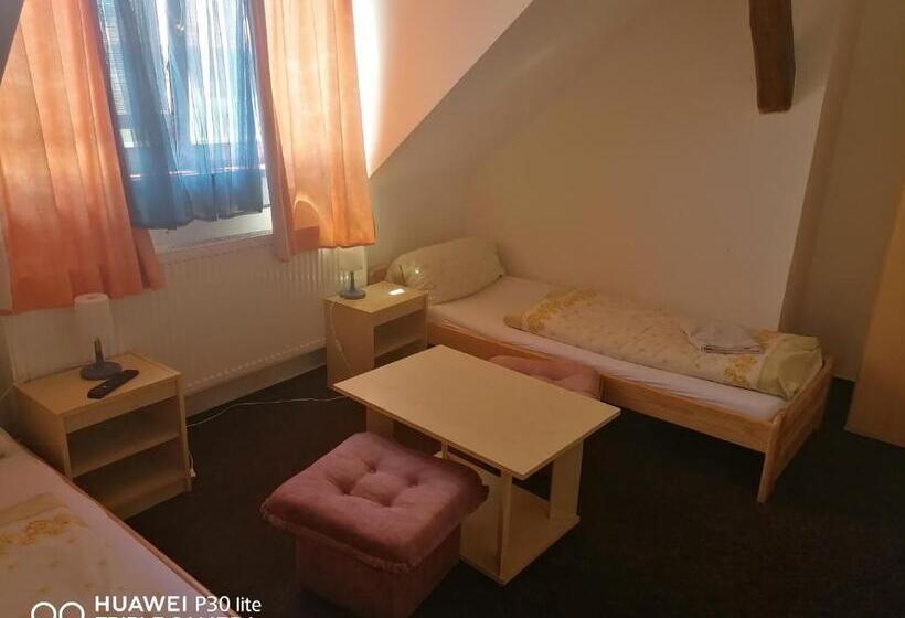 פנסיון Penzion U Hladů