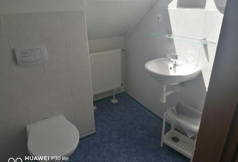 פנסיון Penzion U Hladů